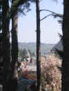 AAT70Avril07 005.jpg (585163 octets)