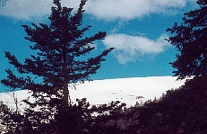 Le Grand Blanc 